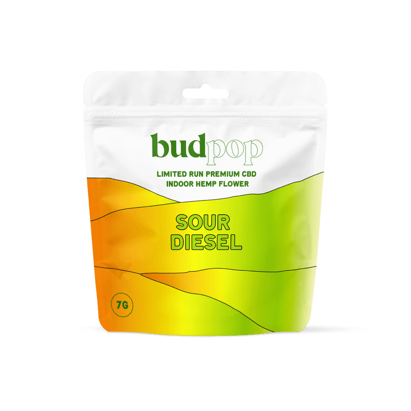 Load image into Gallery viewer, Holographic Custom Printed Mylar Bags